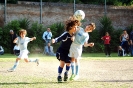 Quarti di Finale