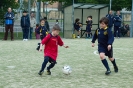 Piccoli Amici