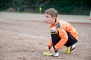 Eliminatorie