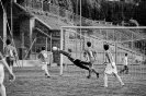 Le foto più belle