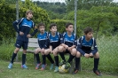 Pulcini