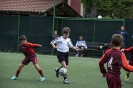 Eliminatorie