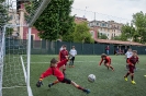Pulcini
