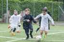Piccoli Amici