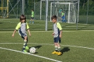 Piccoli Amici